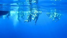 People Are Swimming In The Open Sea. View Under Water