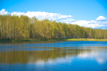  Forest on the shore of the pond in the spring.