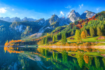  Beautiful view of idyllic colorful autumn scenery in Gosausee lake Austria