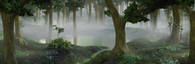 Foggy Fantasy Forest With Ponds