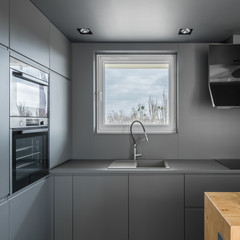 Wall Mural - Gray kitchen with small window