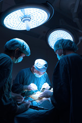 Wall Mural - group of veterinarian surgery in operation room take with art lighting and blue filter