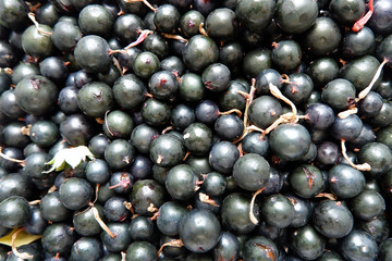 Black currant in bulk. Background of black berries.