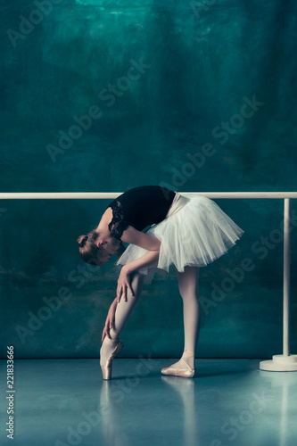 The Classic Ballet Dancer In White Tutu Posing At Ballet Barre On Studio Background Young Teen Before Dancing Ballerina Project With Caucasian Model The Ballet Dance Art Contemporary Kaufen Sie Dieses