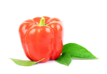 Wall Mural - red pepper over white background