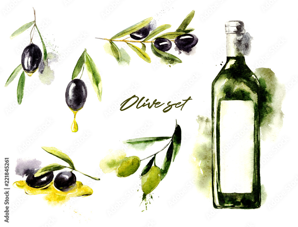 Watercolor set of olive branches with olives and bottle with oil on ...