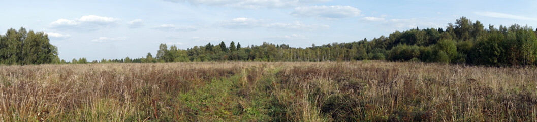 Wall Mural - Panorama of field