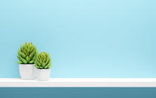 White Shelf On Blue Wall With Green Potted Plants Mock Up