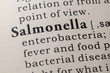 © Feng Yu - definition of Salmonella