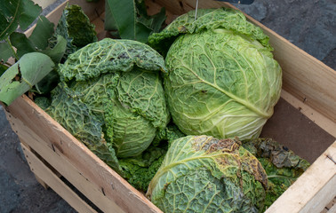 Wall Mural - cabbages in wooden crate in th market