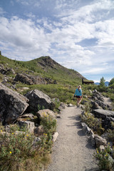 Wall Mural - Blonde female walks along the Savage River hiking trail in Denali National Park on a sunny day. Back view of the person as she walks away