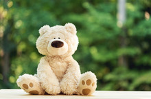 A Teddy Bear On A Shiny Green Forest Background
