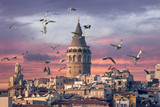 Fototapeta  - Galata Tower in Istanbul Turkey with seagulls on the foreground