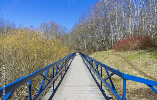 Fotomural Wooden footbridge over the marshy ravine.