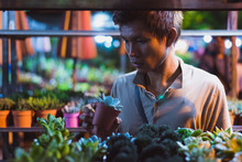 Young Asian Man Looks At A Potted Houseplant In His Hands Surrounded By Shelves With Indoor Succulent Plants At A Night Market. This Is Chatuchak Plant Market, Bangkok City, Thailand.