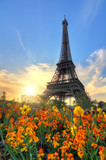 Fototapeta Paryż - Beautiful spring sunset view of the Eiffel tower with flowers in the park in Paris, France