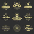 © provectors - Christmas labels and badges vector design elements set.