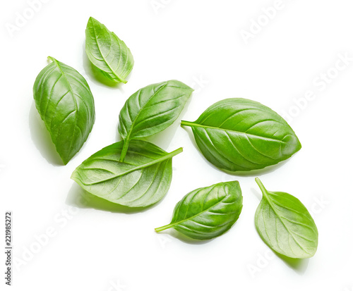 Cuadros en Lienzo fresh green basil leaves isolated on white background