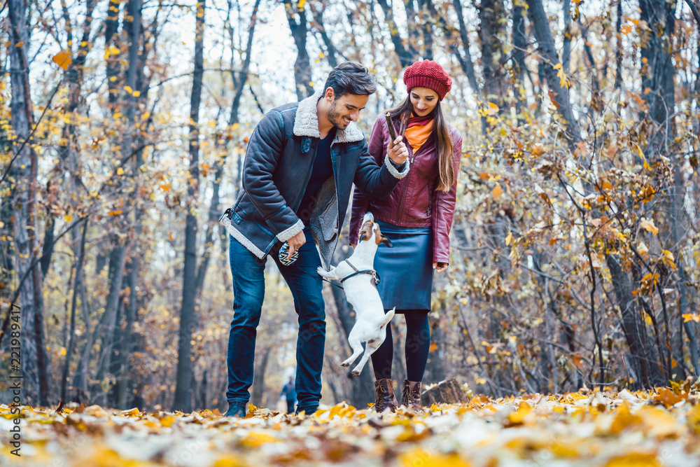 Frau und Mann streicheln den Hund beim Gassigehen im farbenprächtigen Park Stock Photo Adobe Stock