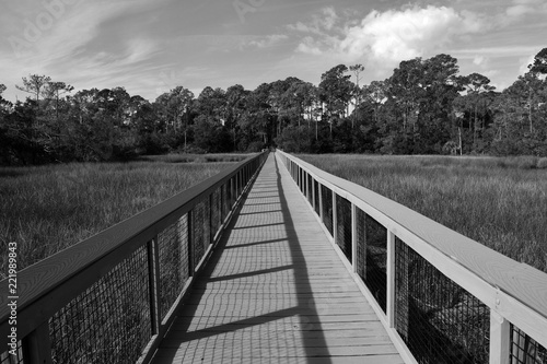Fotografia, Obraz Boardwalk crossing over the marshland of Florida, USA