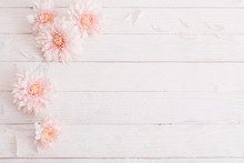 Chrysanthemum On White Wooden Background