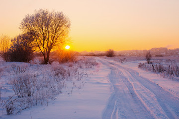 Sticker - the beautiful winter landscape