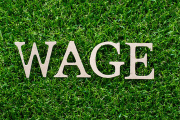 Wall Mural - Wood letter in word wage on artificial green grass background