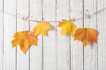 Poster - autumn leaves on wooden background