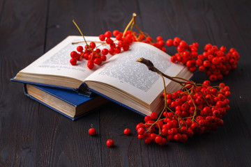 Sticker - back to school: rowan branch and books. school autumn theme