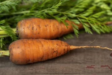 Two carrots on old wood table