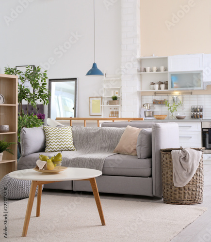 Stylish Apartment Interior With Modern Kitchen Idea For Home