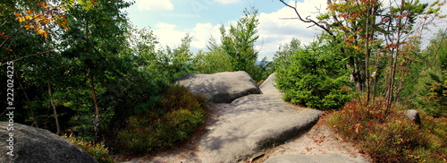 Dekoracja na wymiar  zielen-przyrody-pomiedzy-skalami-piaskowca