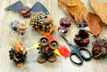 Tinker Creative Chestnut Figures In Autumn Like Owl Snail Squirrel Rabbit