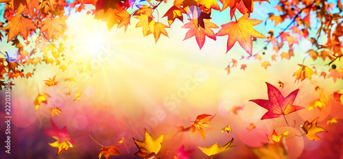 Falling Autumn Red Leaves With Sunlight - Fall Background