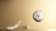 © foulon - balance de plume contre boule de pétanque