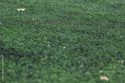 Soft Focus Football Field Synthetic Green Grass Material