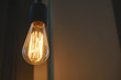 modern led light bulb in vintage style