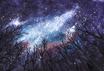 dark night - milky way in the sky through silhouettes of trees - universe watercolor hand-drawn illu