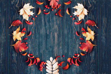 Fotomurales - Autumn background with maple and rowan leaves and berries.Copy space.