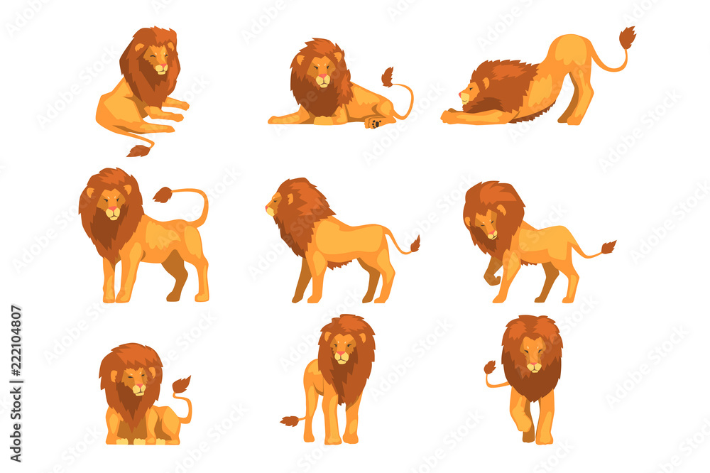 Proud powerful lion character in different actions set of cartoon vector Illustrations on a white background - obrazy, fototapety, plakaty 