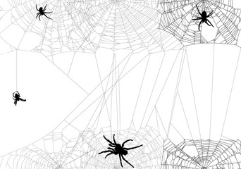 Wall Mural - four black spiders in different web illustration