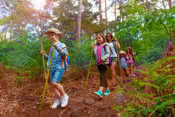 Group of kids walk in the forest during hiking