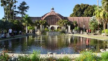 Static Shot Of The San Diego Balboa Park Botanical Garden And Duck Pond With Tourists Wandering In The Background