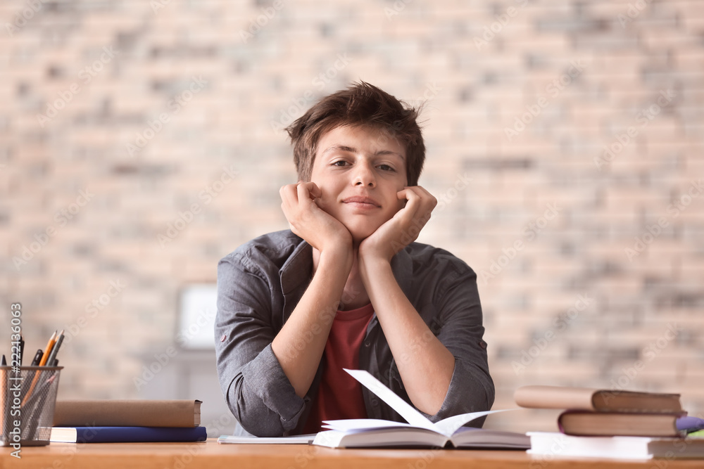 Teenager boy doing homework at home