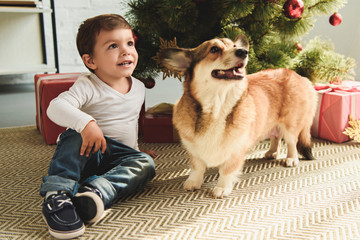 Wall Mural - adorable boy and dog sitting under christmas tree with presents