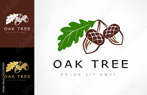 Fotografía Oak tree logo. Acorn vector.