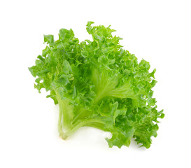 green frillice iceberg lettuce isolated on white background