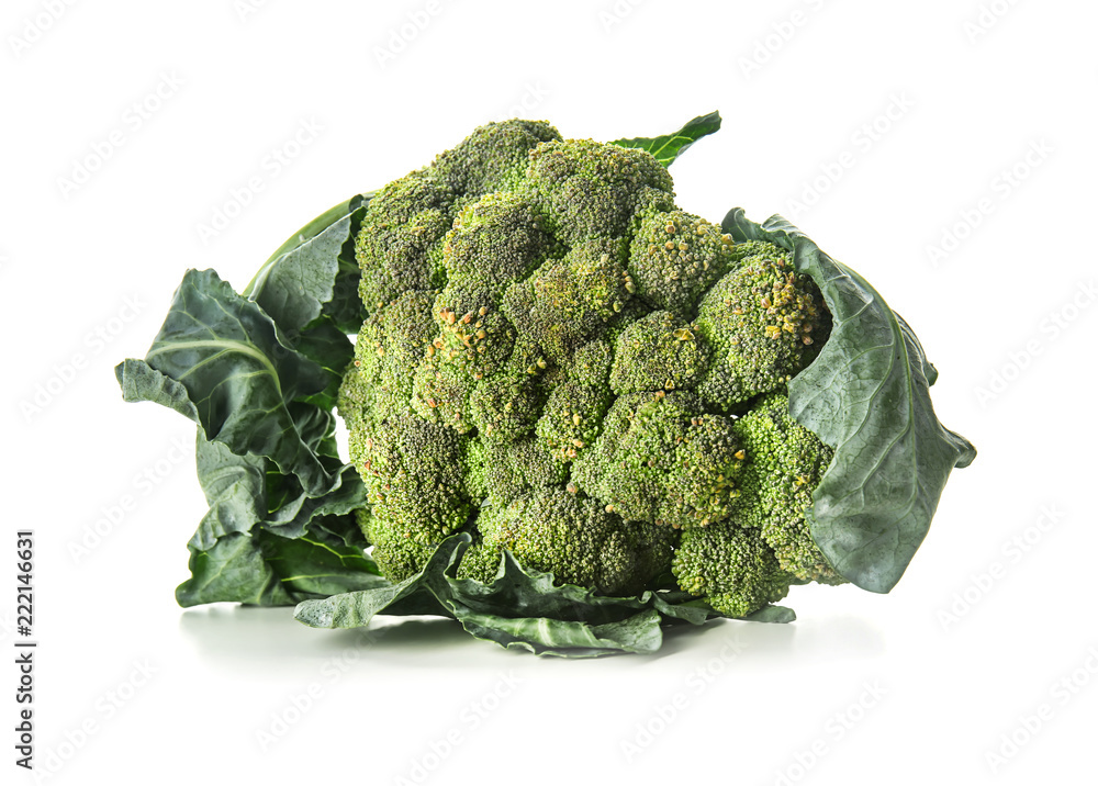 Fresh broccoli on white background