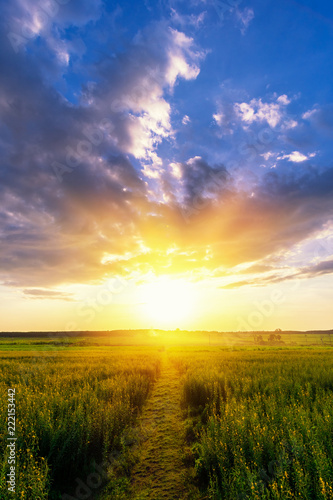 Plissee mit Motiv - Beautiful Sunset over farm (von sutadimages)