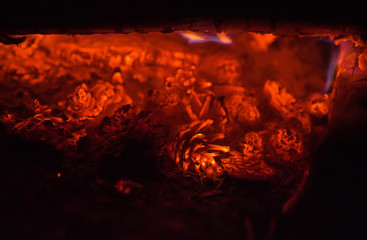 Bunch of burning fir cones at night